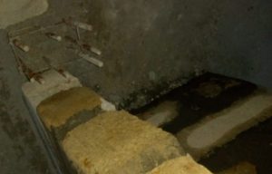 Photo from Building Project