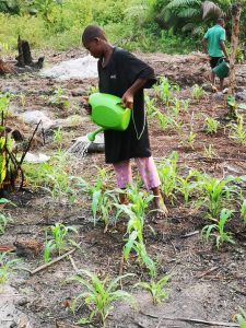 Photo from New EKMOI Farm