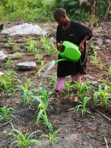 Photo from New EKMOI Farm
