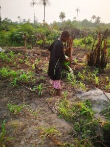 Photo from New EKMOI Farm