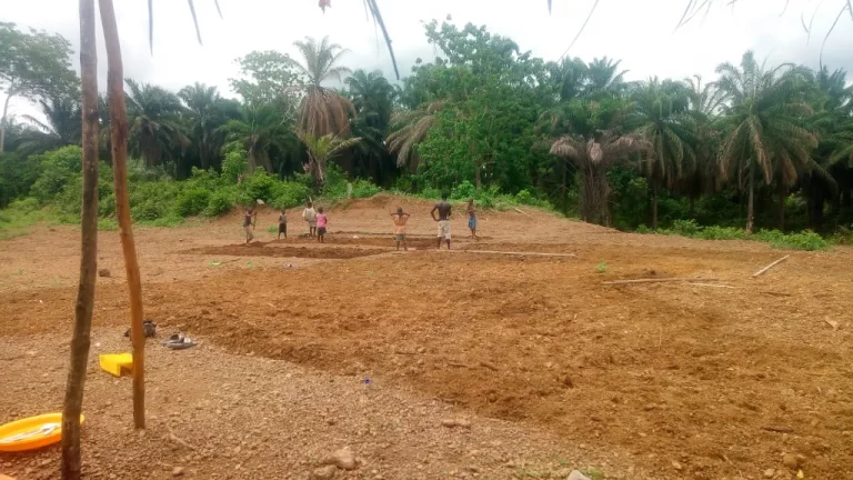 Photo from New Purchased Land