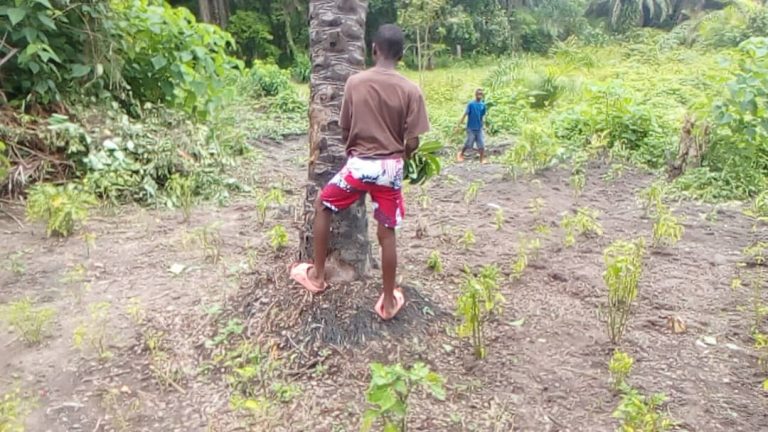 Photo from The EKMOI Garden: Growing Fresh Food and Healthier Futures