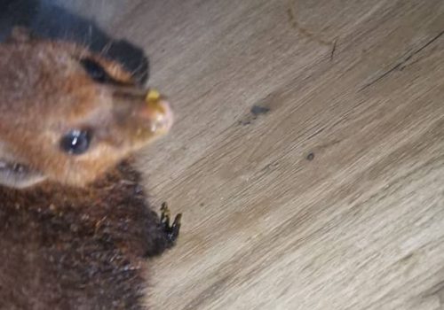 WhatsApp Image 2025-08-24 at 17.23.22 (3)